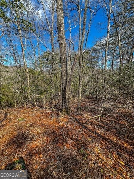0 Ts Jarrard Road Dahlonega GA 30533