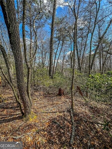0 Ts Jarrard Road Dahlonega GA 30533