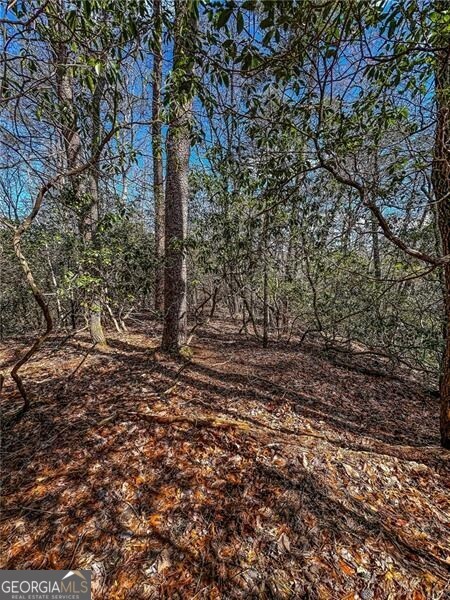 0 Ts Jarrard Road Dahlonega GA 30533