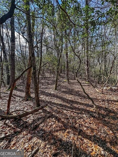 0 Ts Jarrard Road Dahlonega GA 30533