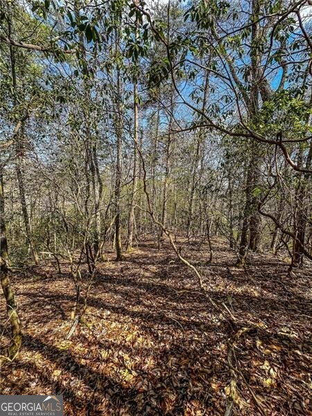 0 Ts Jarrard Road Dahlonega GA 30533