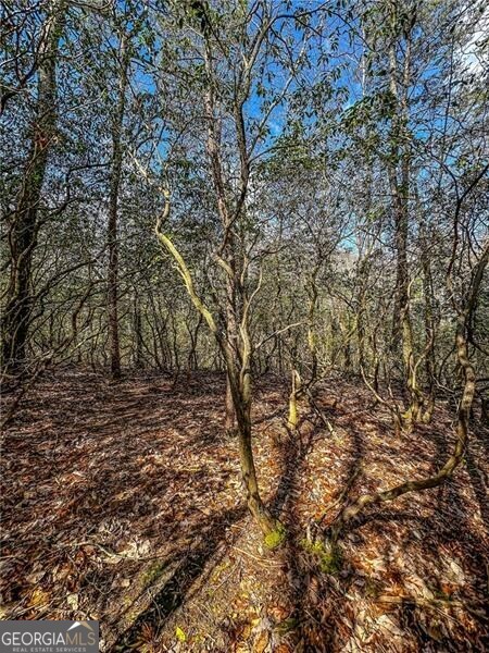 0 Ts Jarrard Road Dahlonega GA 30533