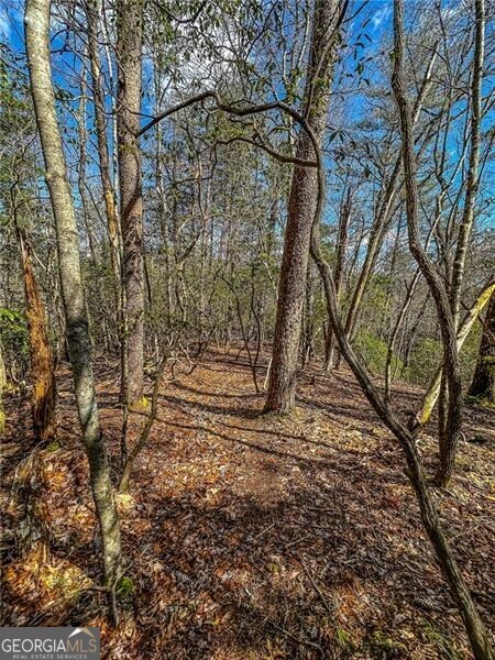 0 Ts Jarrard Road Dahlonega GA 30533