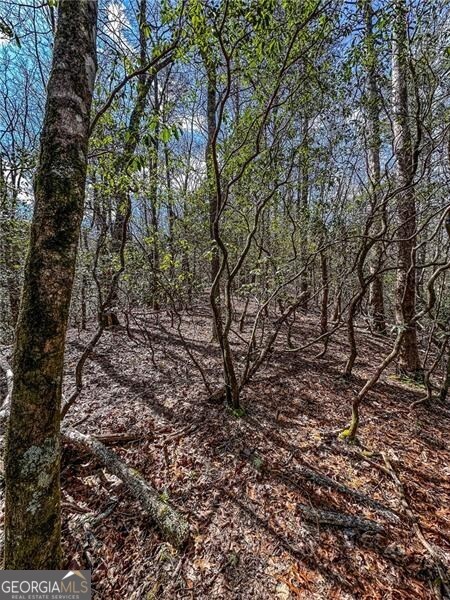 0 Ts Jarrard Road Dahlonega GA 30533