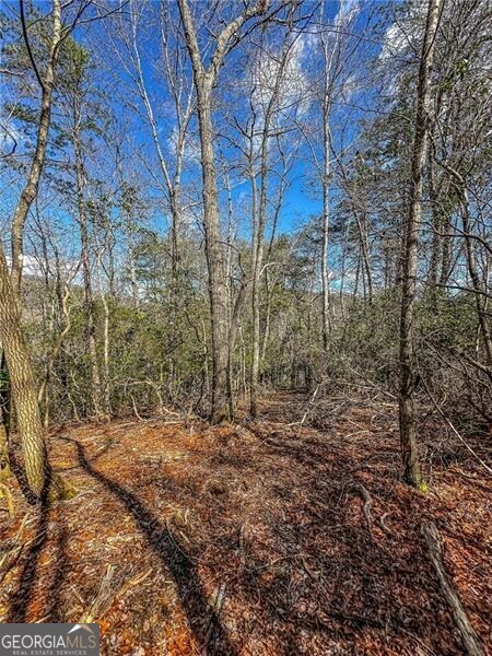0 Ts Jarrard Road Dahlonega GA 30533