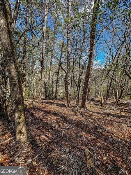 0 Ts Jarrard Road Dahlonega GA 30533