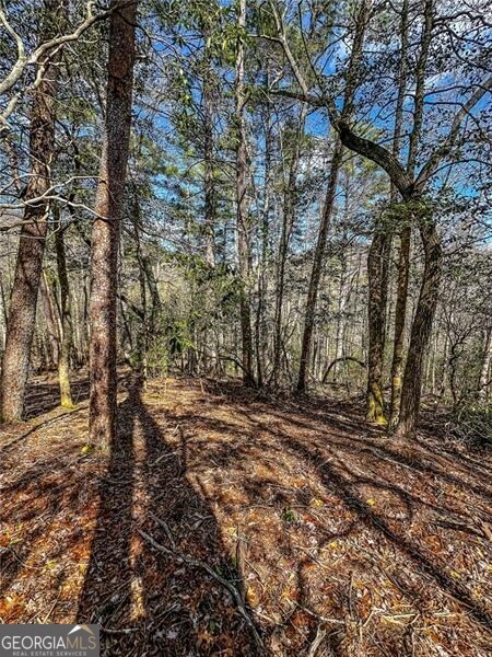 0 Ts Jarrard Road Dahlonega GA 30533