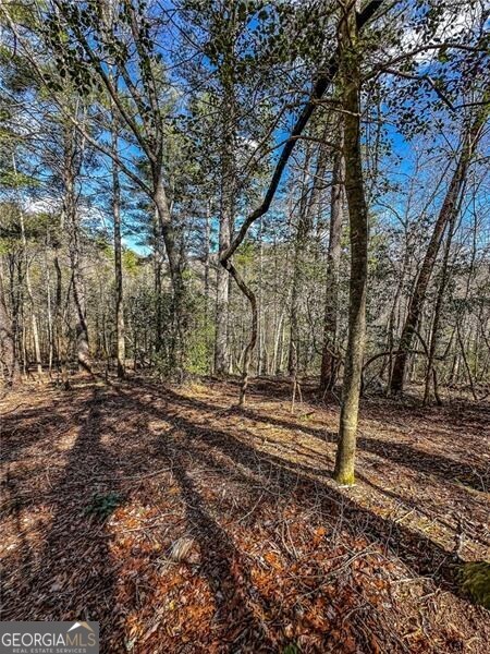 0 Ts Jarrard Road Dahlonega GA 30533