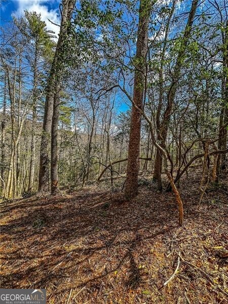 0 Ts Jarrard Road Dahlonega GA 30533