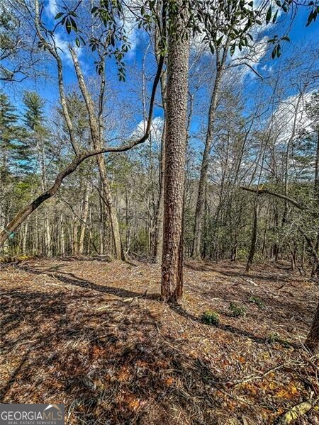 0 Ts Jarrard Road Dahlonega GA 30533