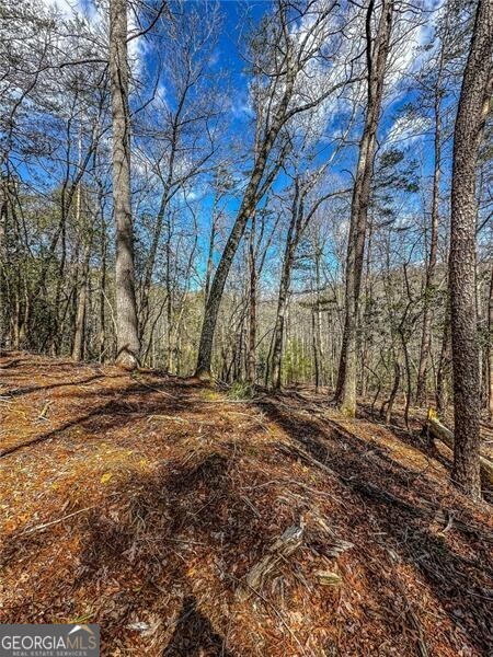 0 Ts Jarrard Road Dahlonega GA 30533