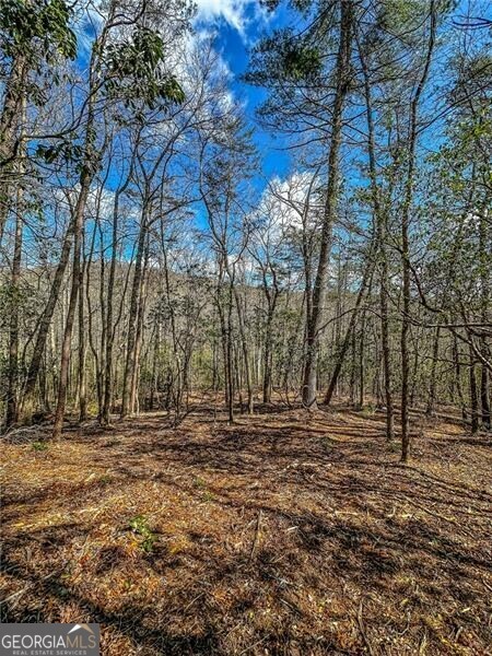 0 Ts Jarrard Road Dahlonega GA 30533
