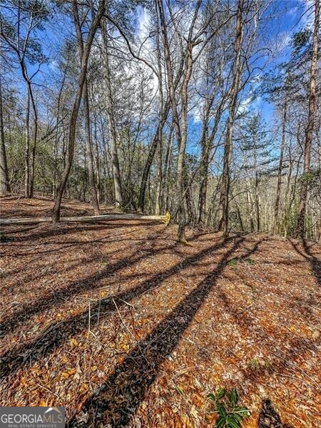 0 Ts Jarrard Road Dahlonega GA 30533