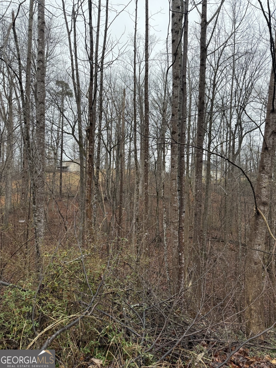 4638 Enfield Drive Gainesville GA 30506