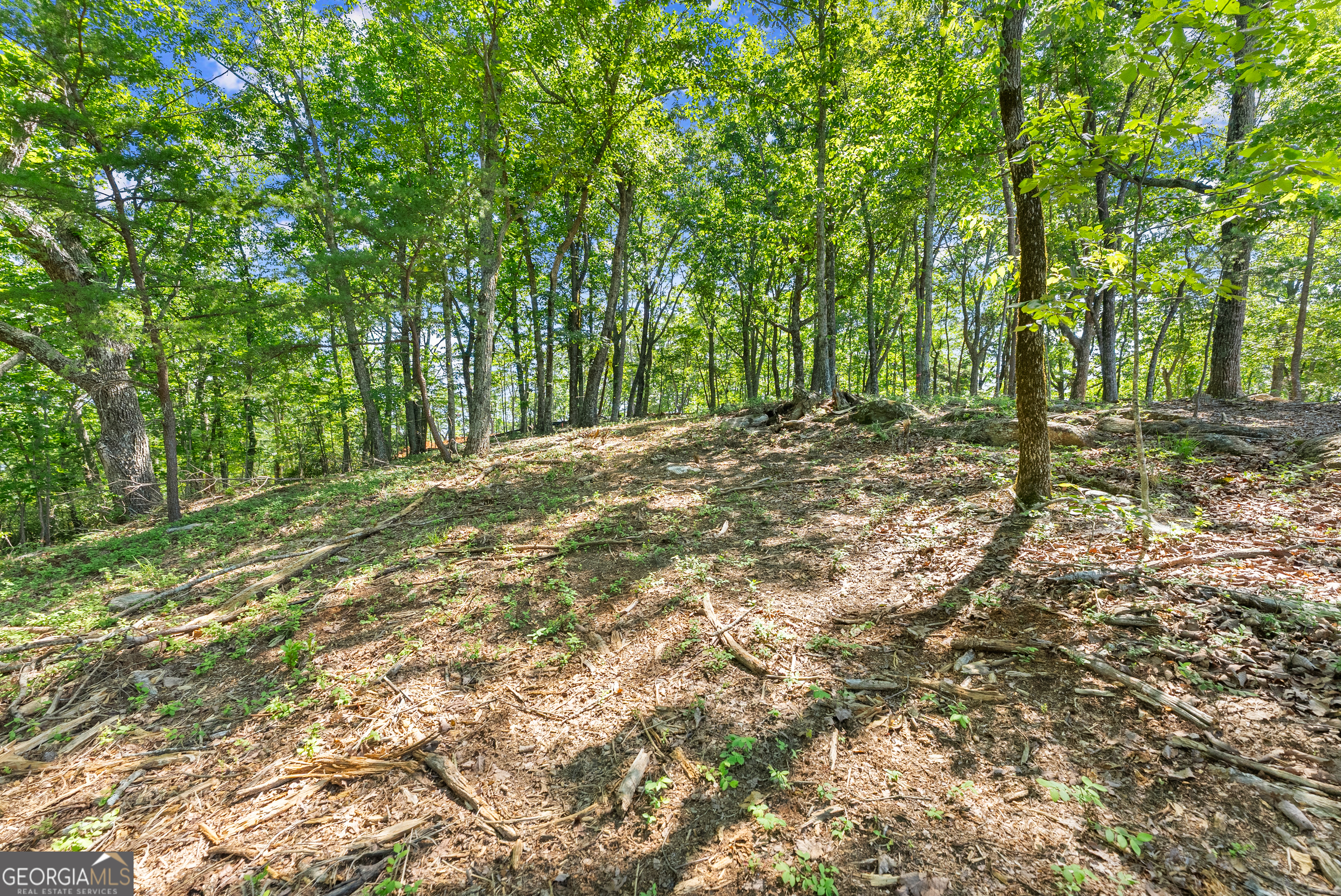 95 Chimney Oaks Trail Cleveland GA 30528