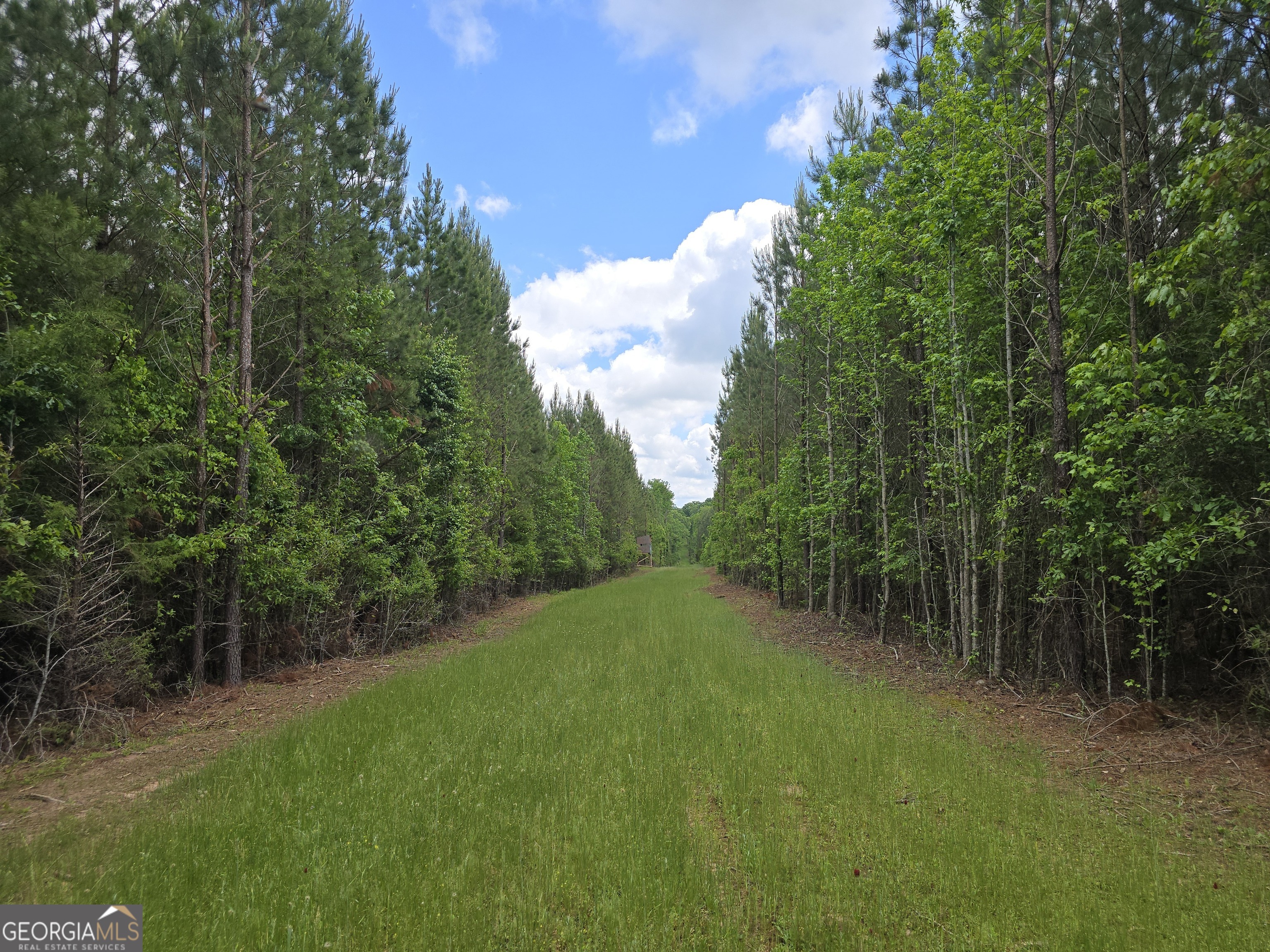 0 Davis Lake Road Thomaston GA 30286