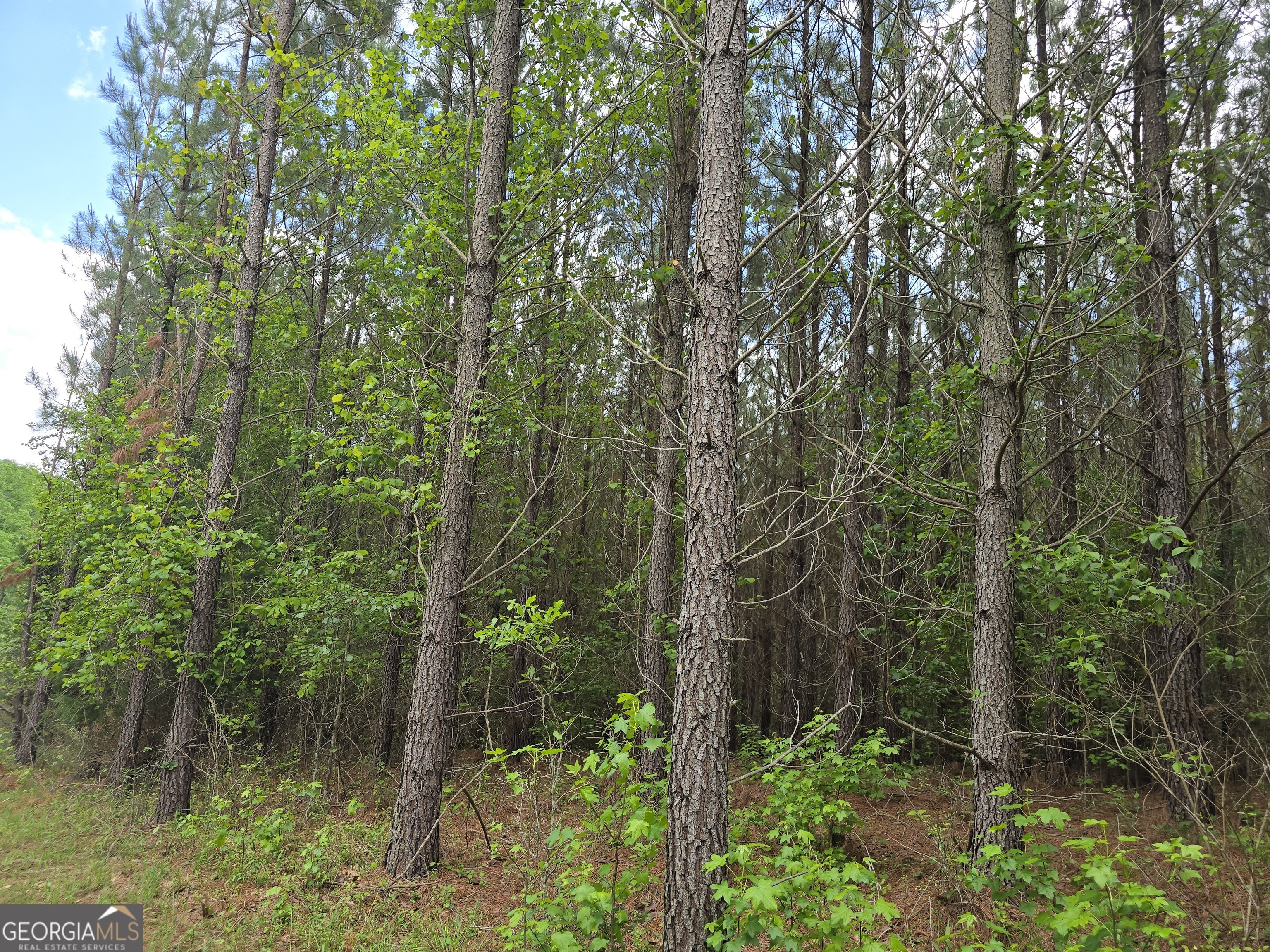 0 Davis Lake Road Thomaston GA 30286