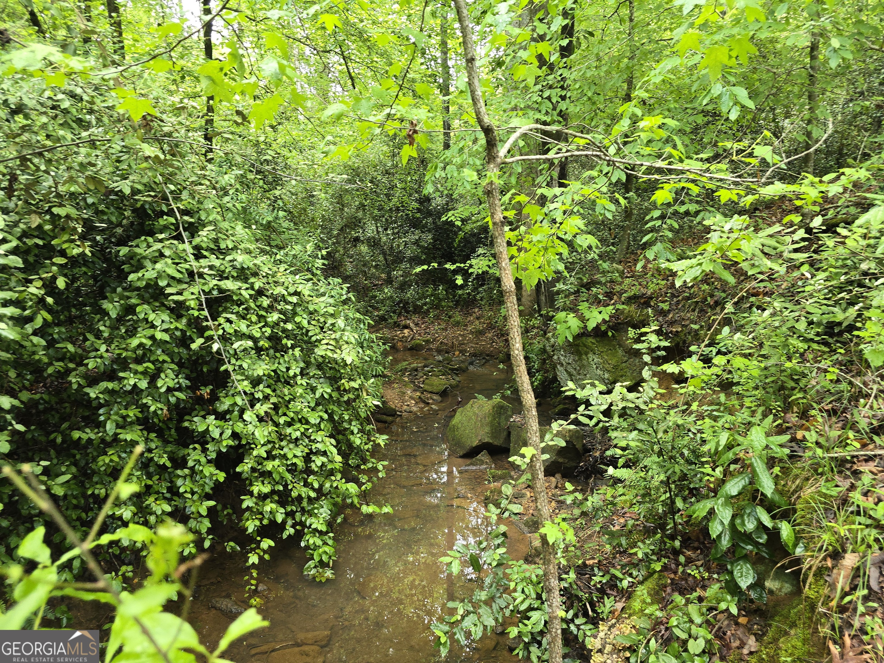 0 Davis Lake Road Thomaston GA 30286