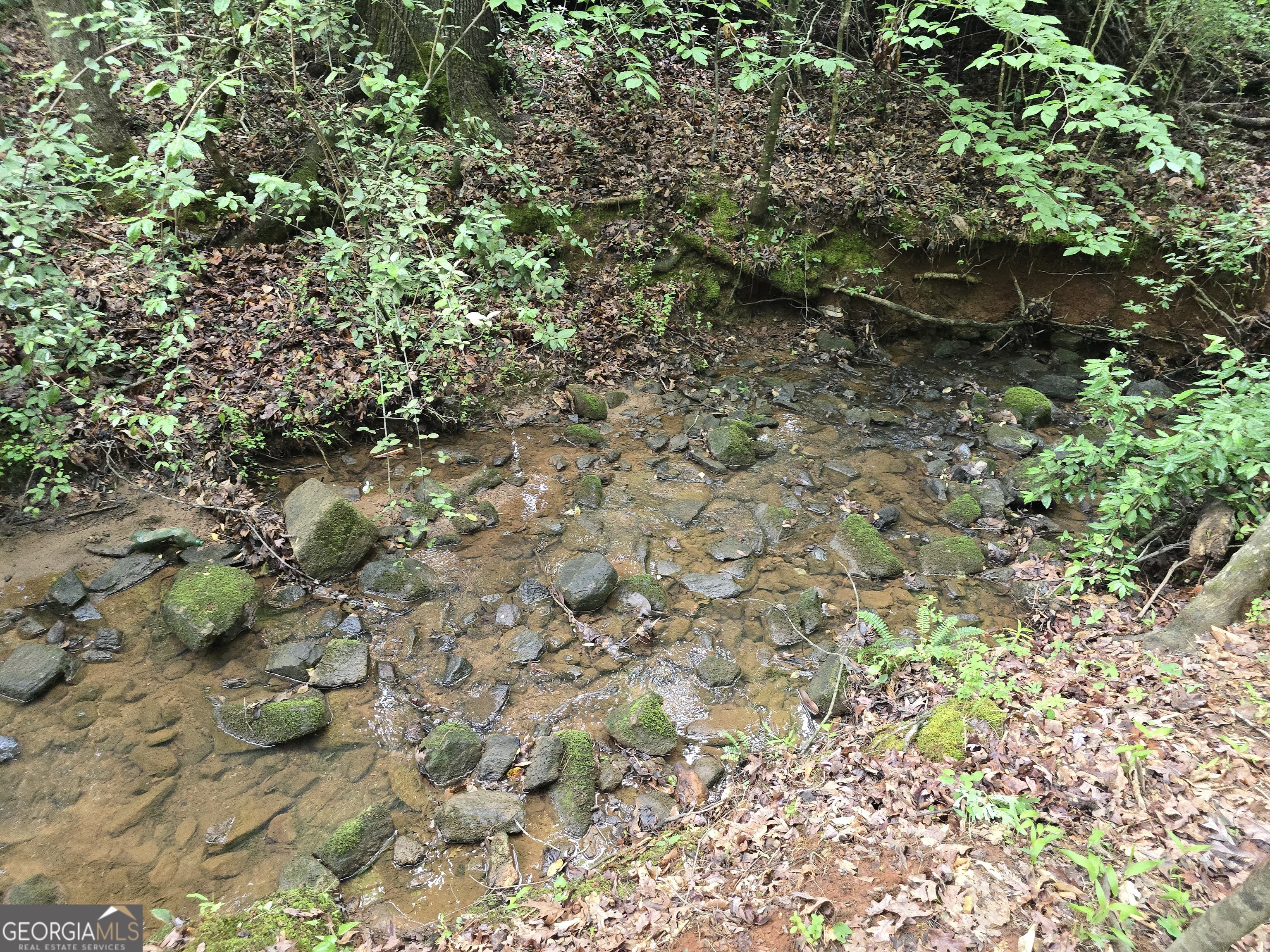 0 Davis Lake Road Thomaston GA 30286