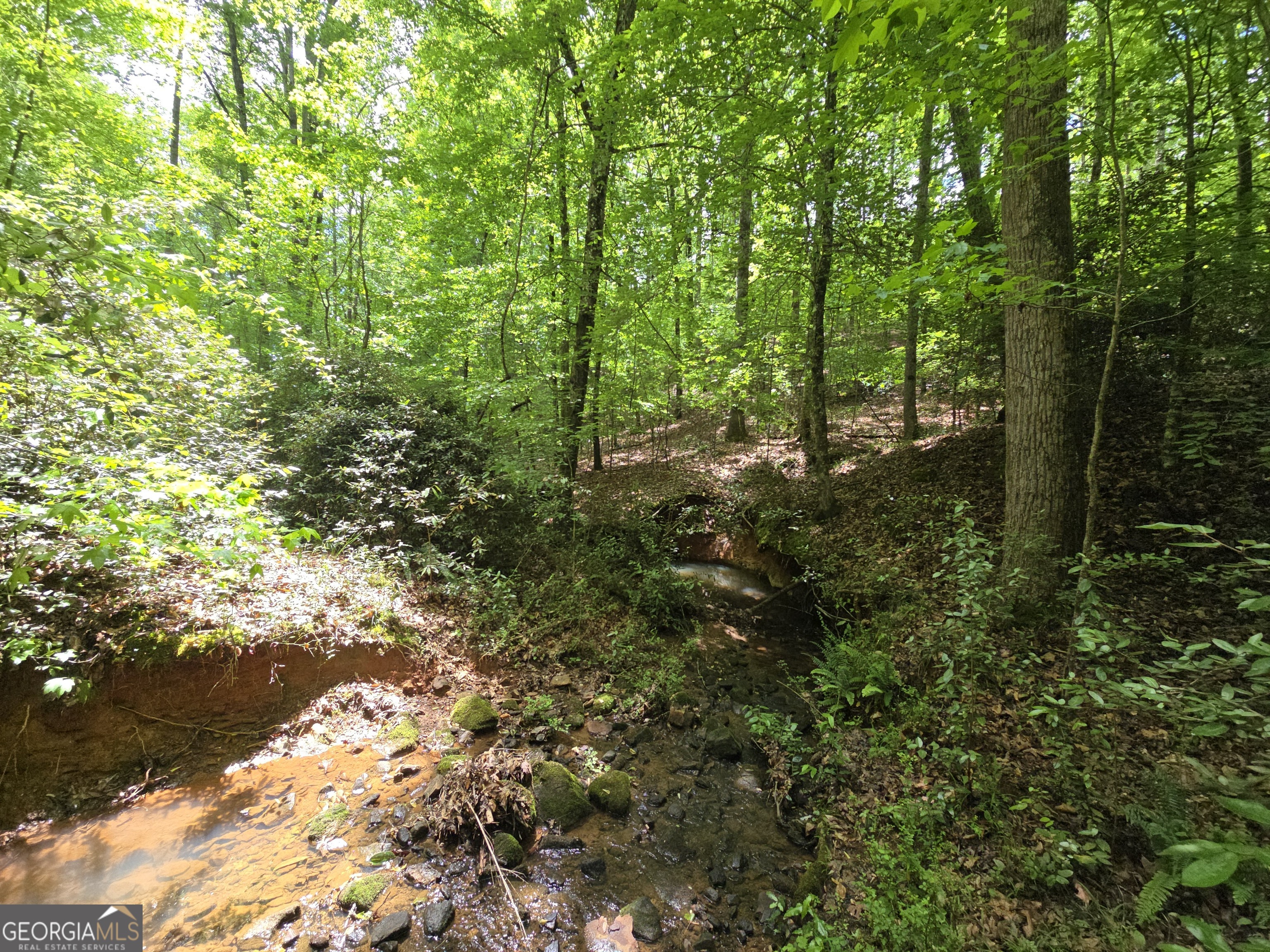 0 Davis Lake Road Thomaston GA 30286