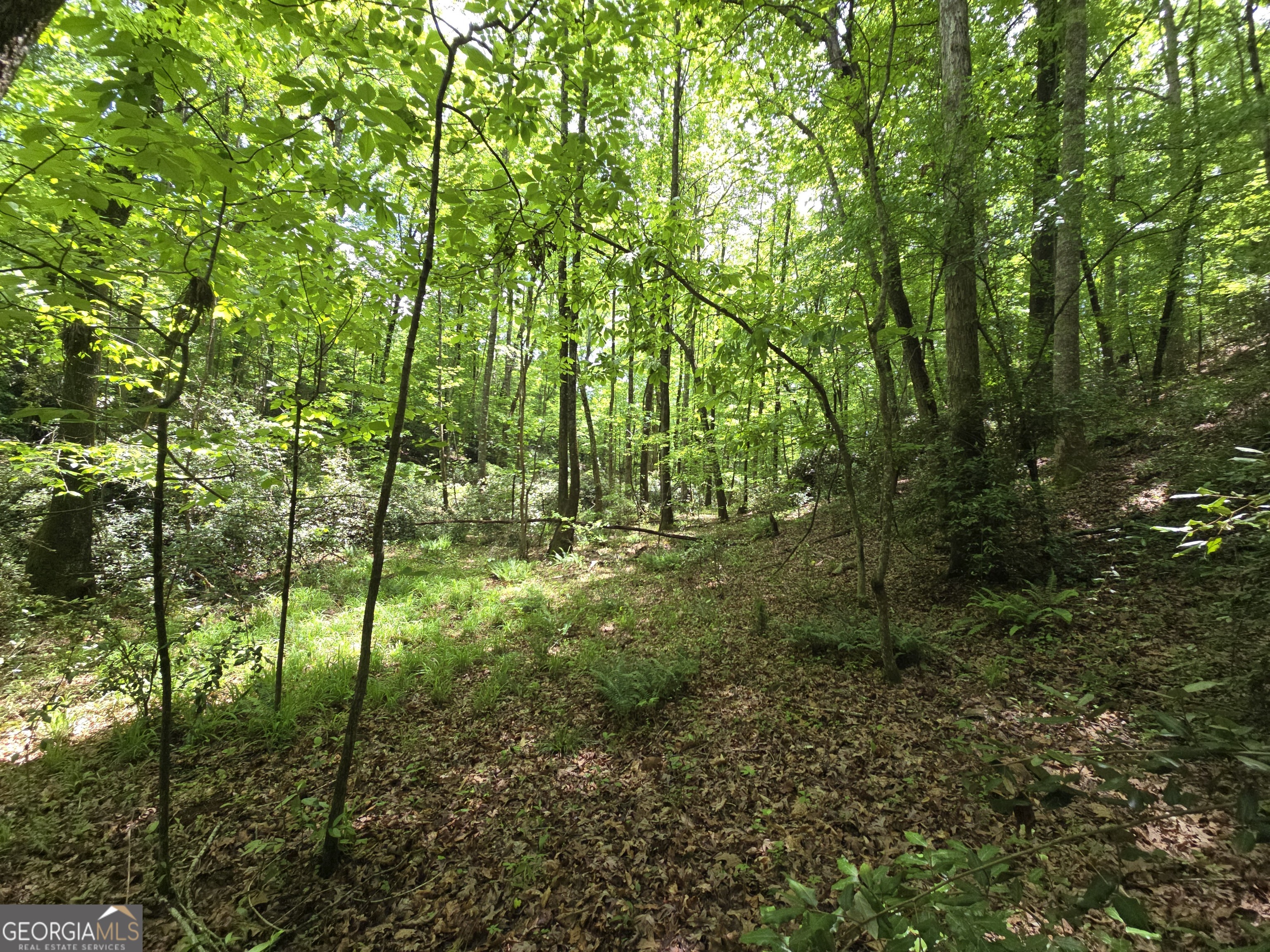 0 Davis Lake Road Thomaston GA 30286