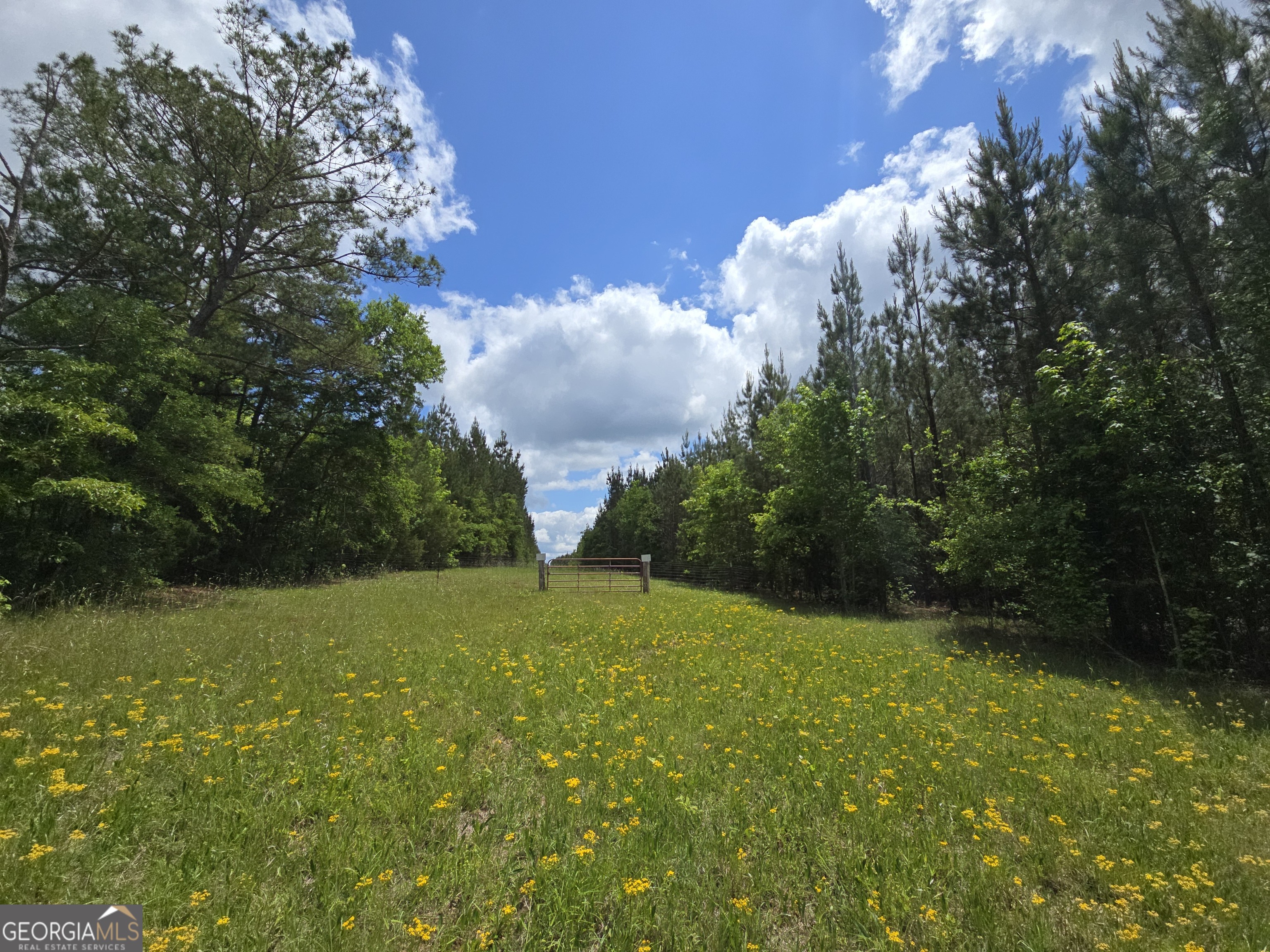 0 Davis Lake Road Thomaston GA 30286