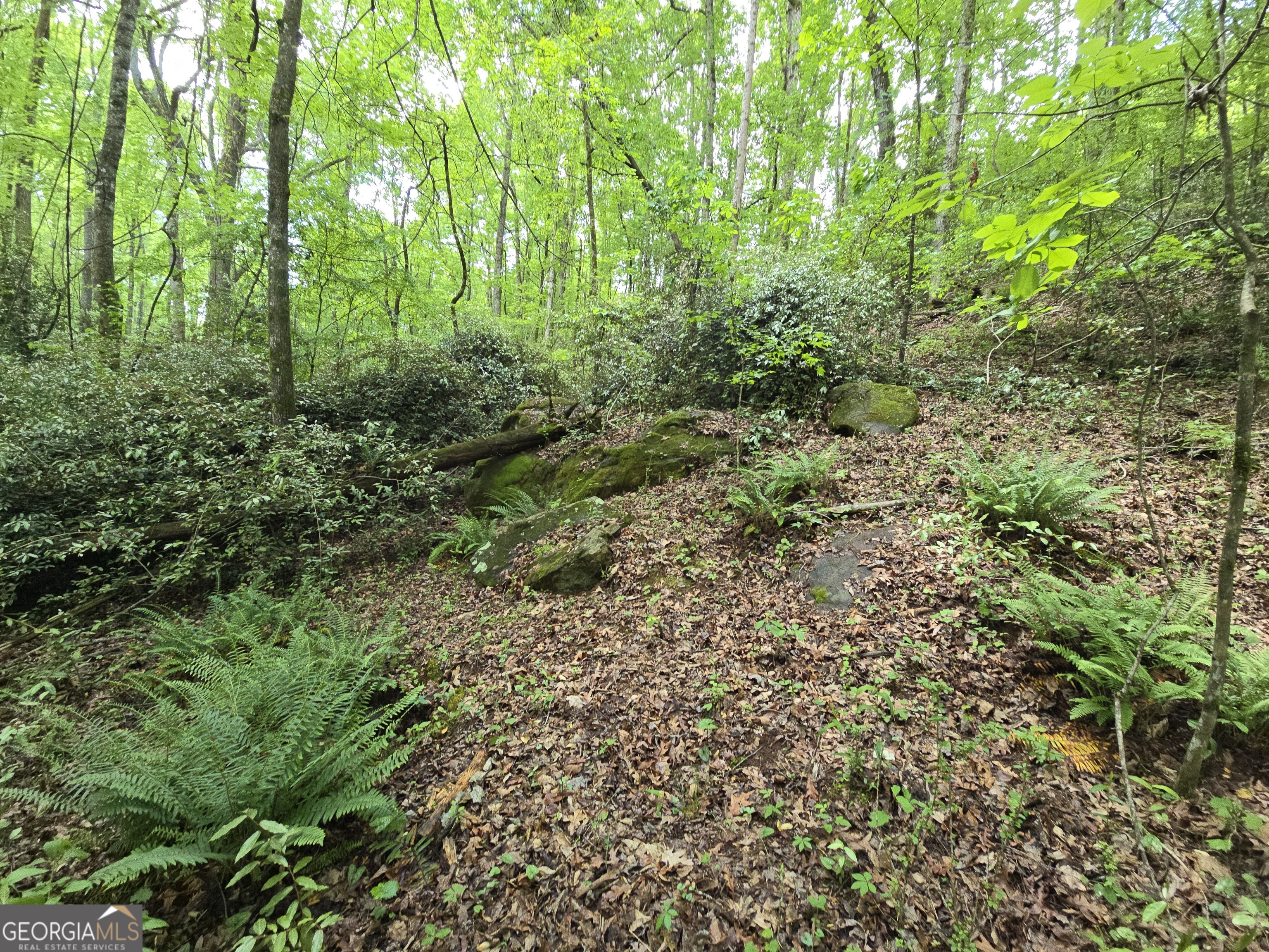 0 Davis Lake Road Thomaston GA 30286