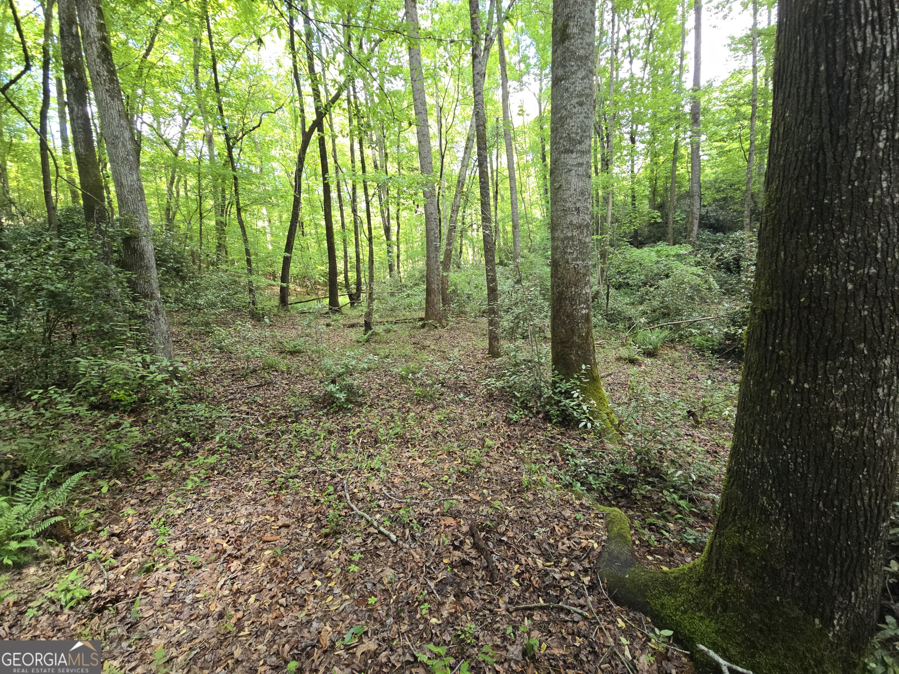 0 Davis Lake Road Thomaston GA 30286