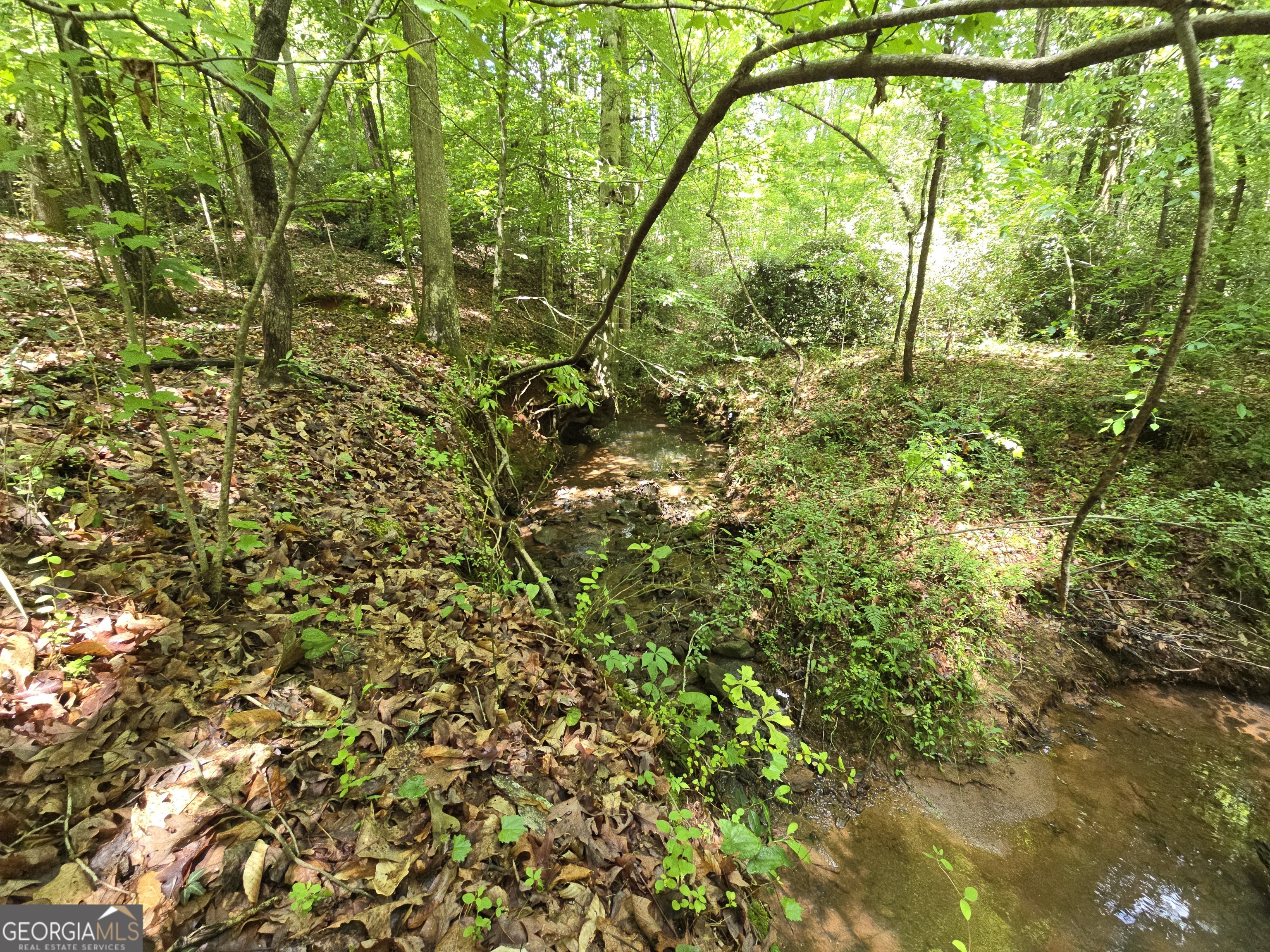 0 Davis Lake Road Thomaston GA 30286