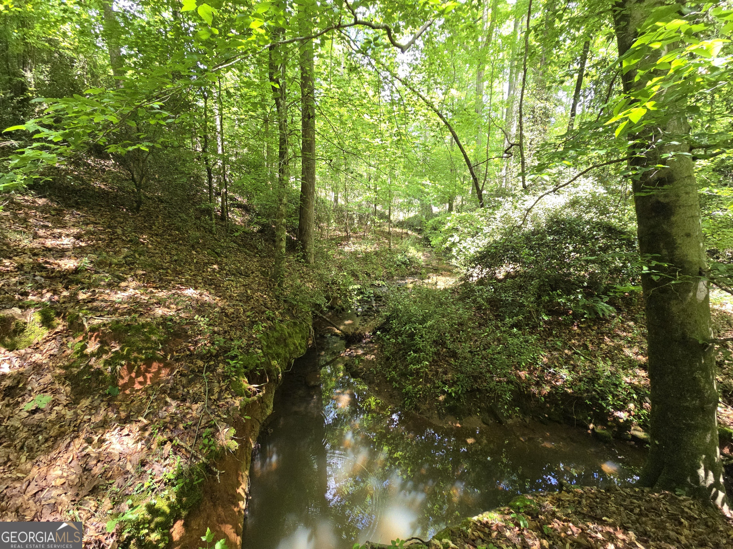 0 Davis Lake Road Thomaston GA 30286