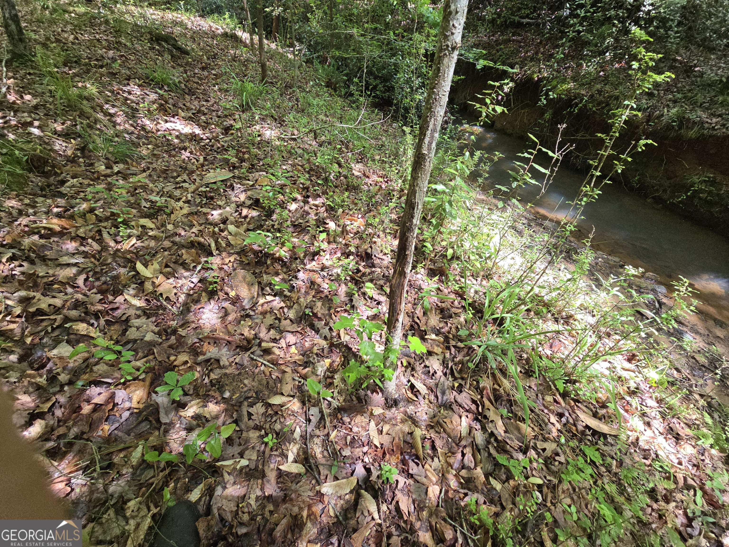 0 Davis Lake Road Thomaston GA 30286