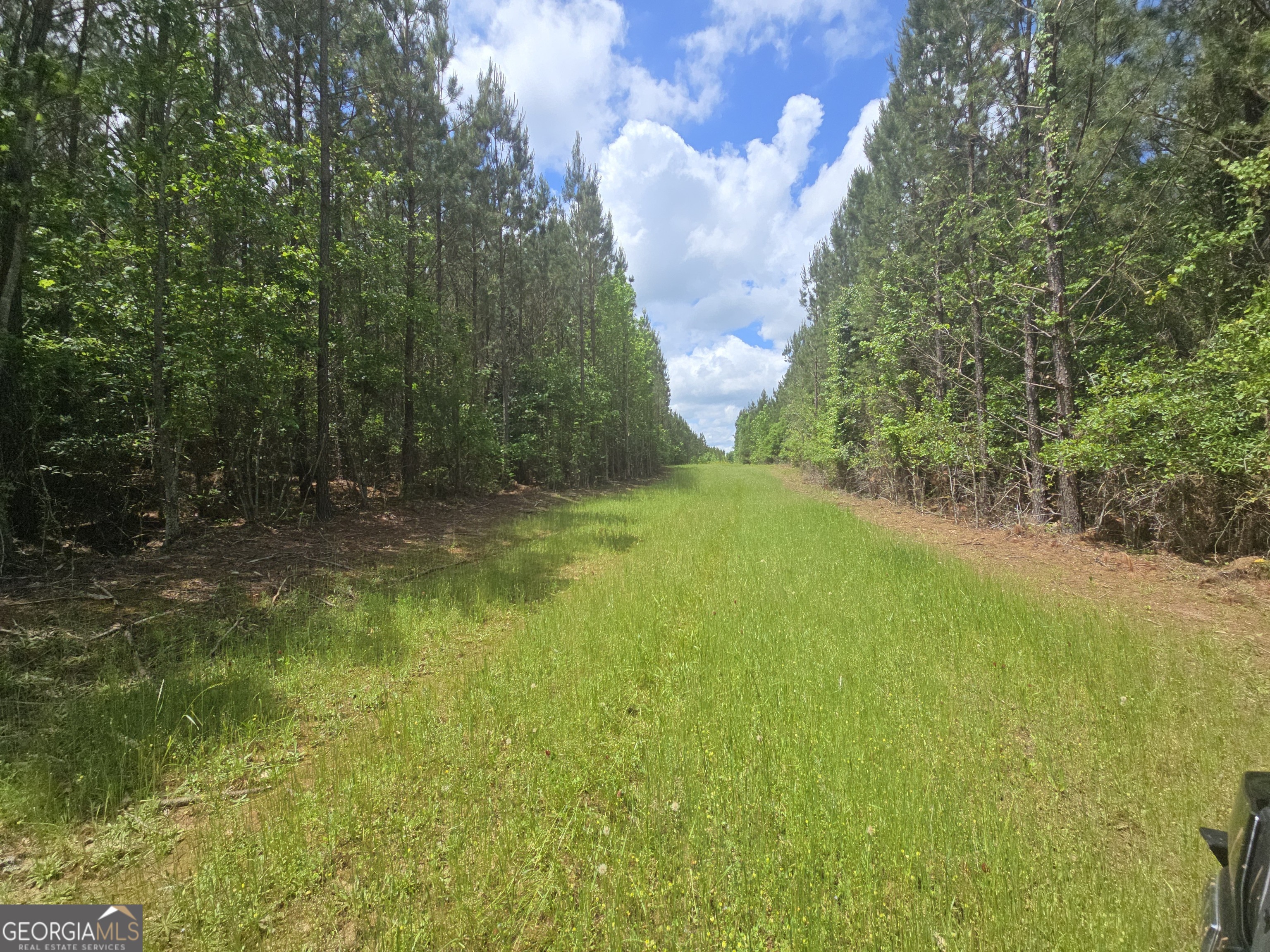 0 Davis Lake Road Thomaston GA 30286