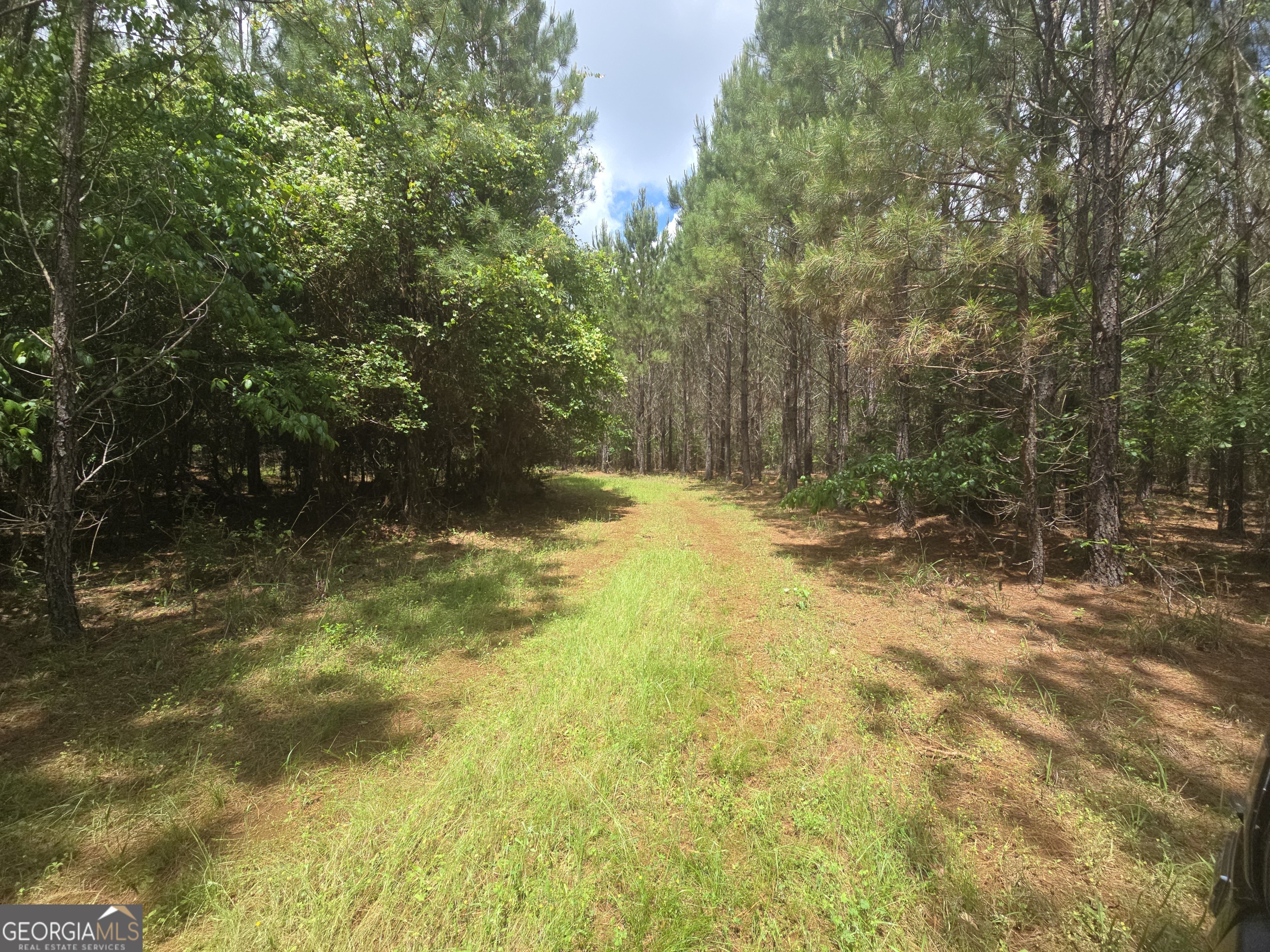 0 Davis Lake Road Thomaston GA 30286