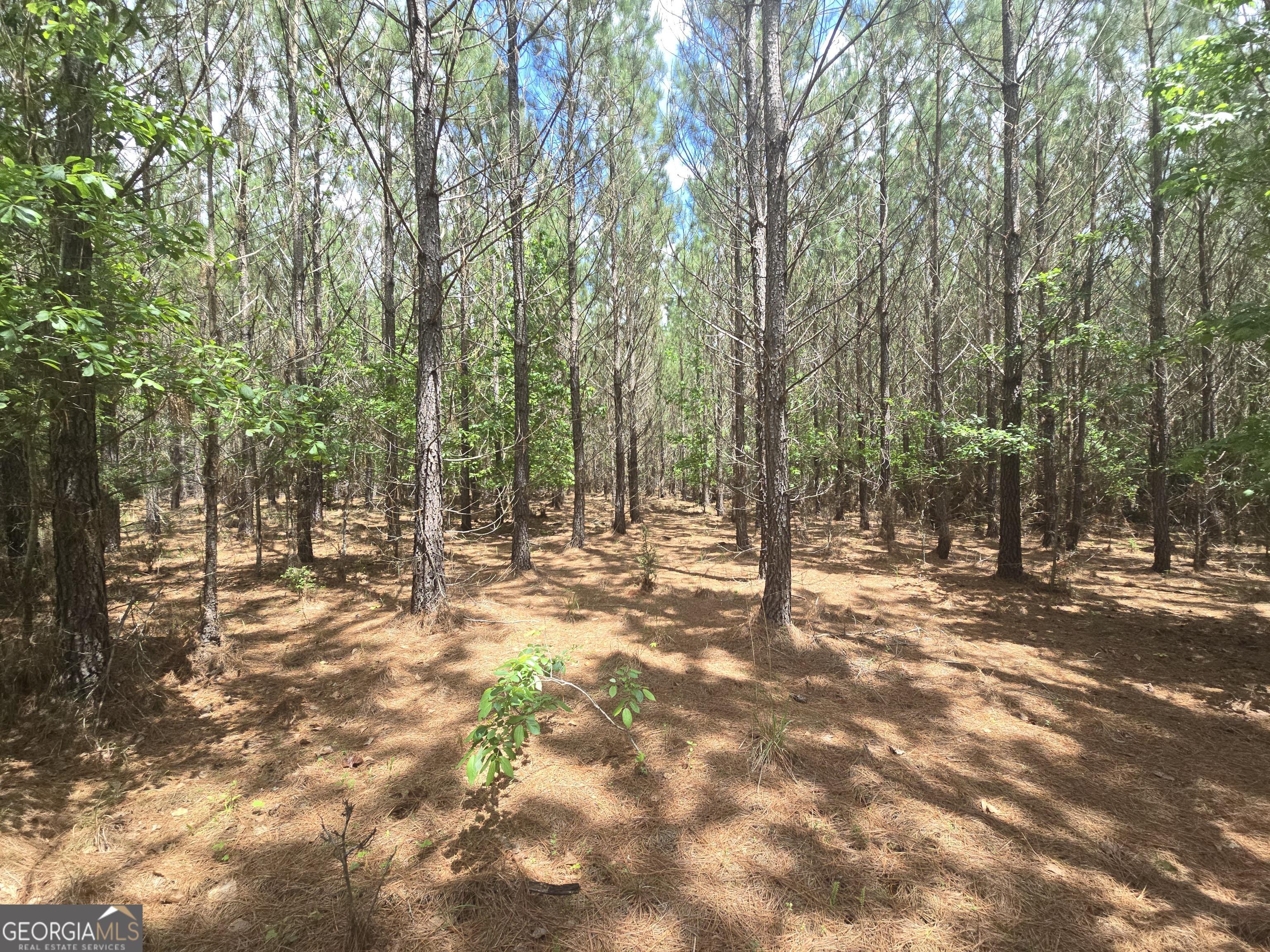0 Davis Lake Road Thomaston GA 30286
