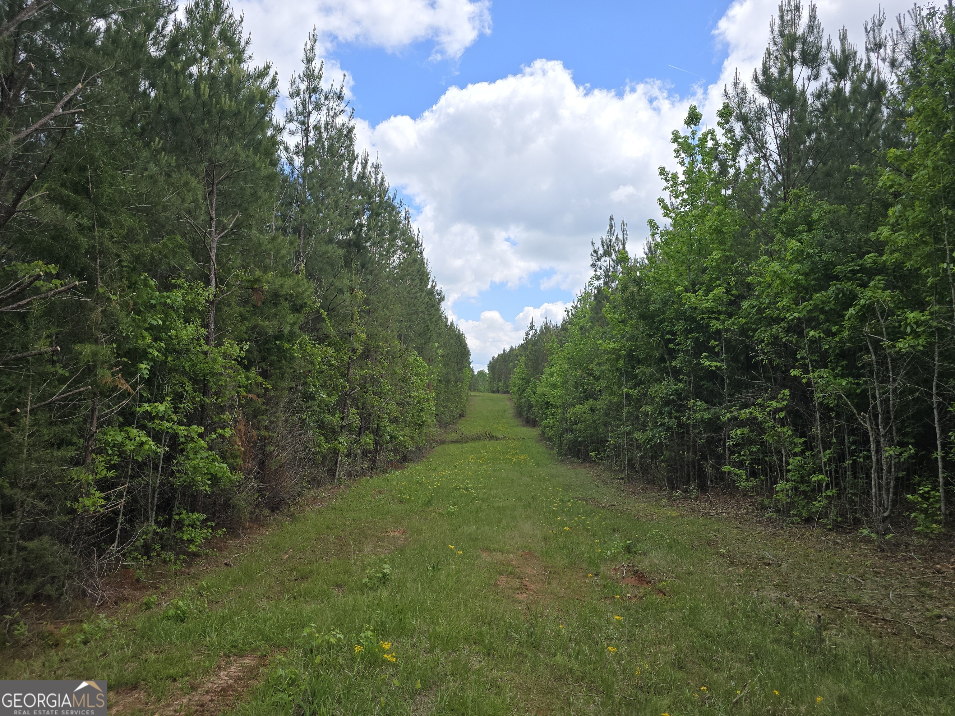 0 Davis Lake Road Thomaston GA 30286