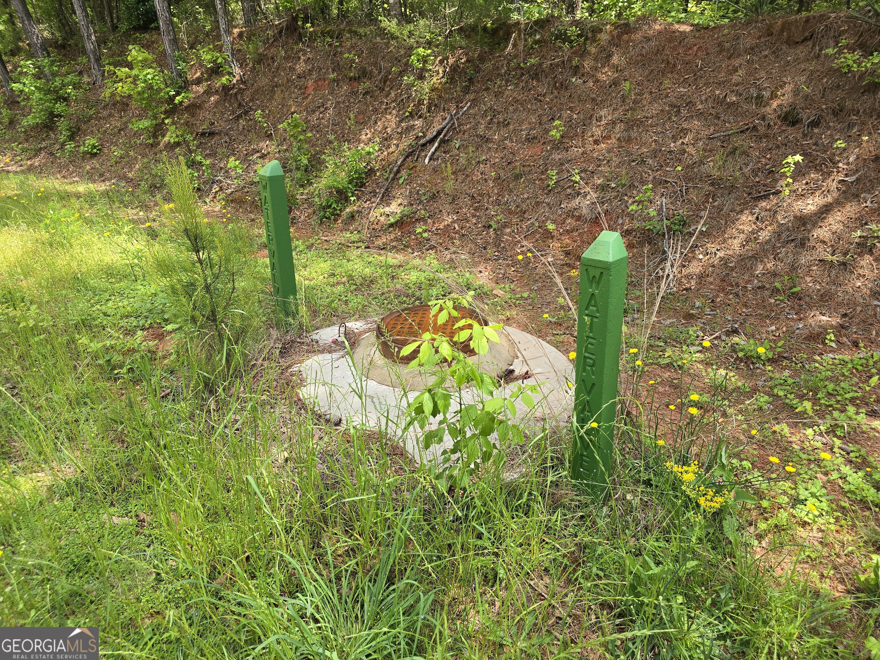 0 Davis Lake Road Thomaston GA 30286