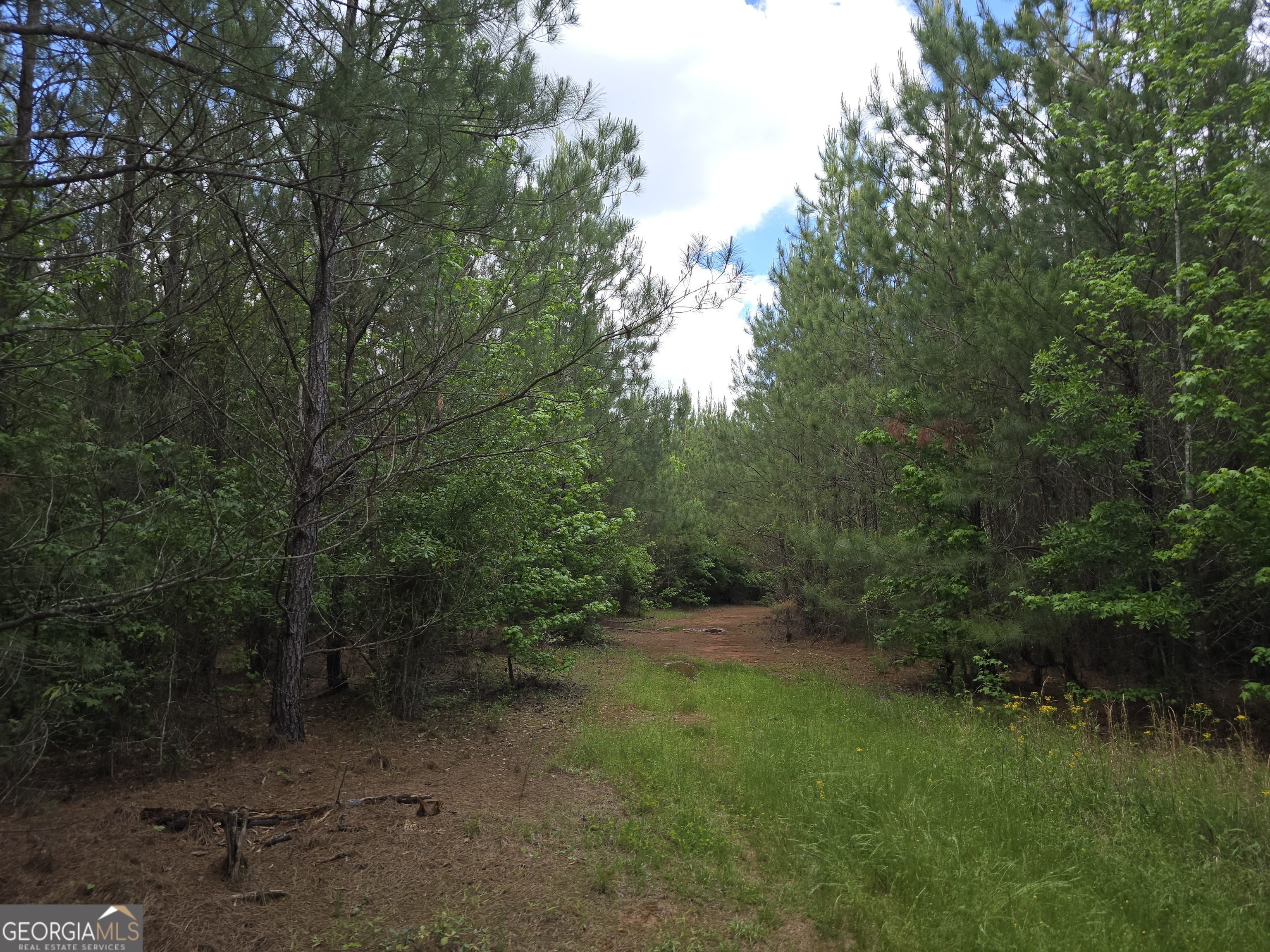 0 Davis Lake Road Thomaston GA 30286