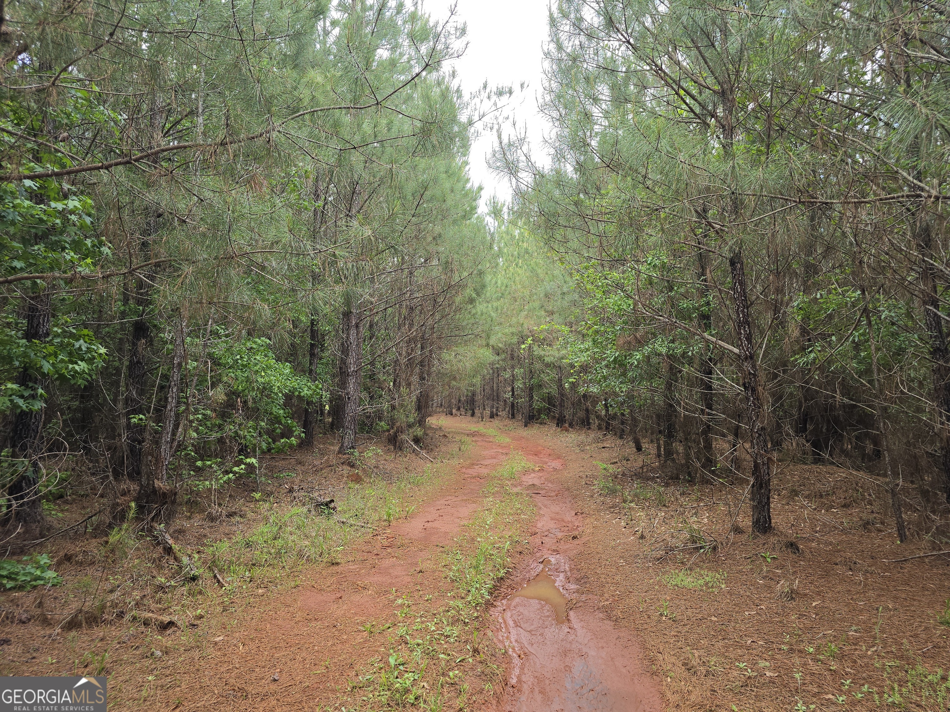 0 Davis Lake Road Thomaston GA 30286