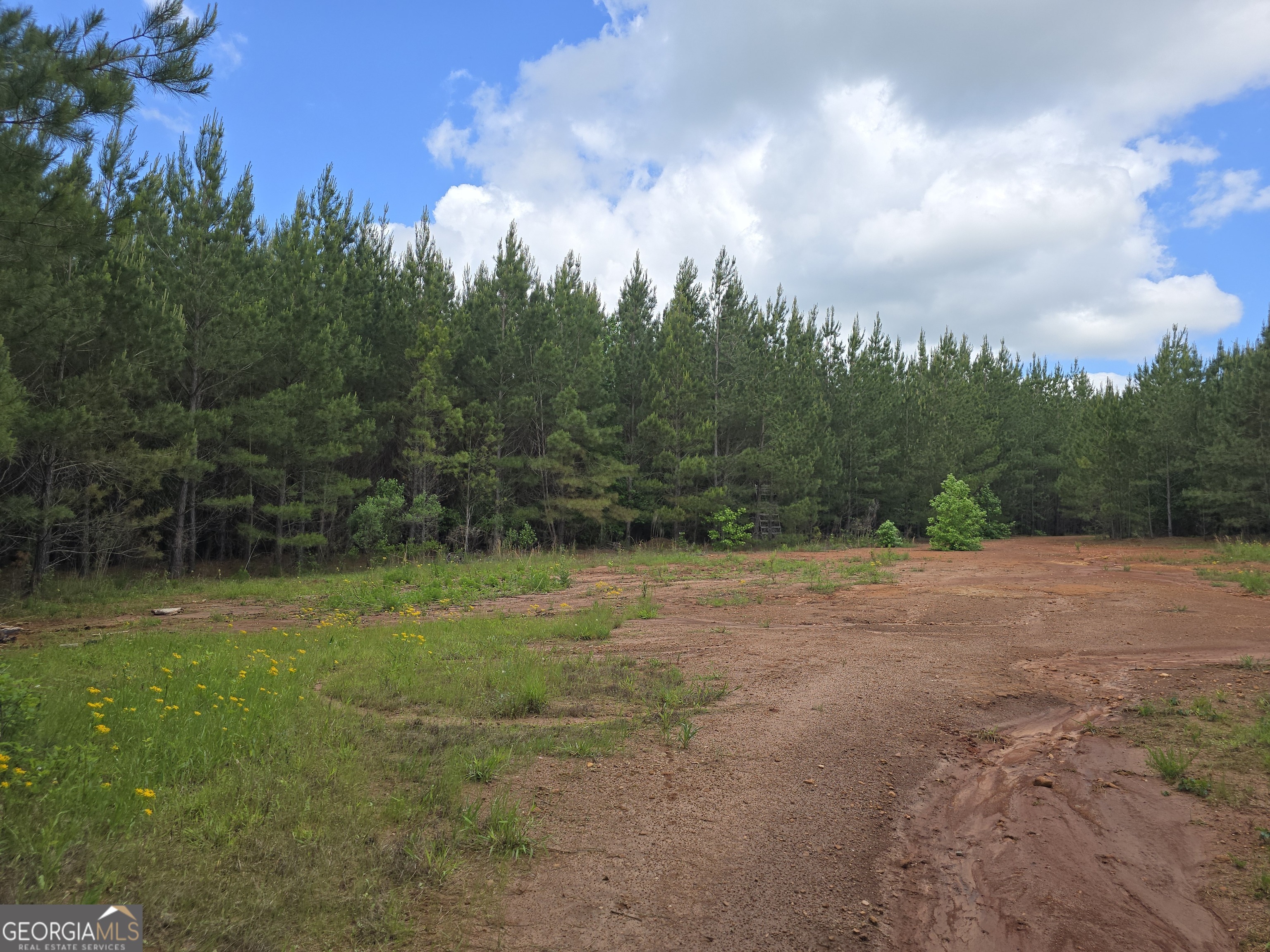 0 Davis Lake Road Thomaston GA 30286