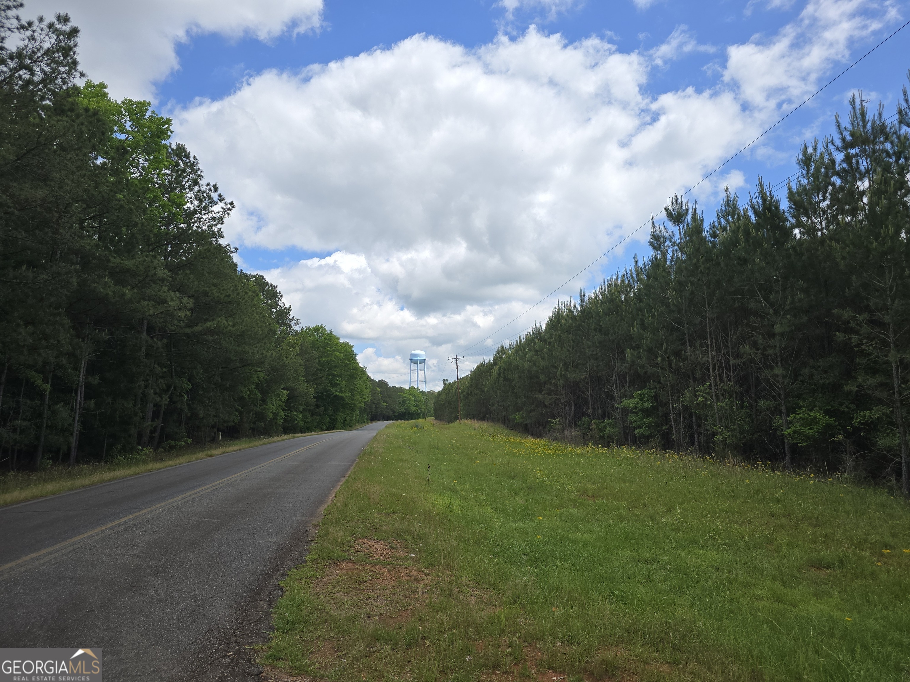0 Davis Lake Road Thomaston GA 30286