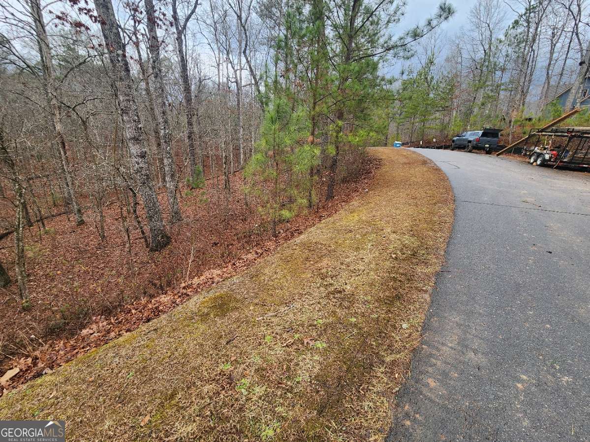 Lot 9 Harris Creek Drive Ellijay GA 30540