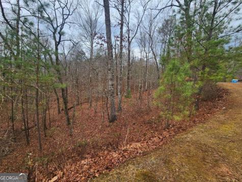 Lot 9 Harris Creek Drive Ellijay GA 30540