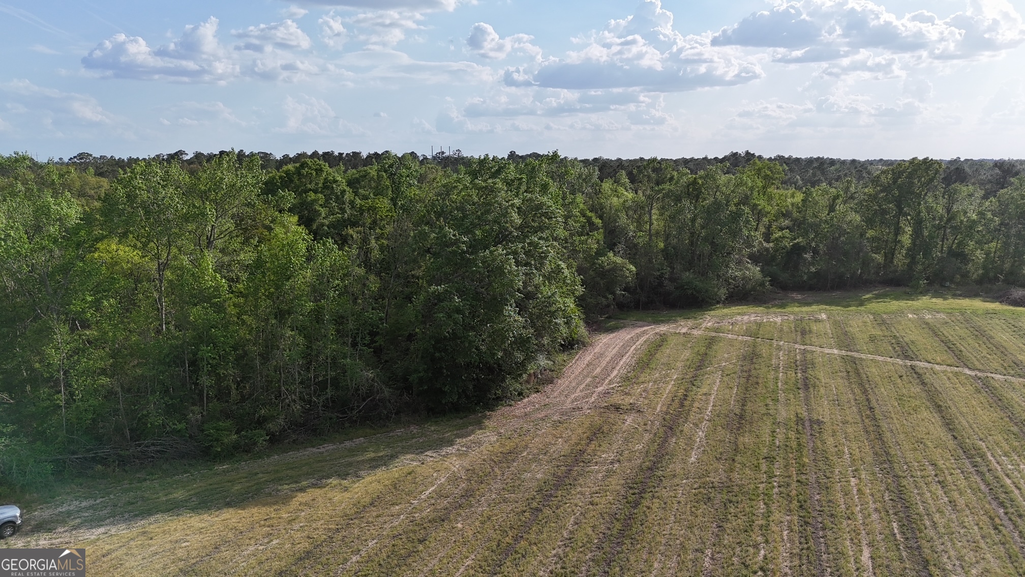 Tract 3 Spring Branch Road Baxley GA 31513
