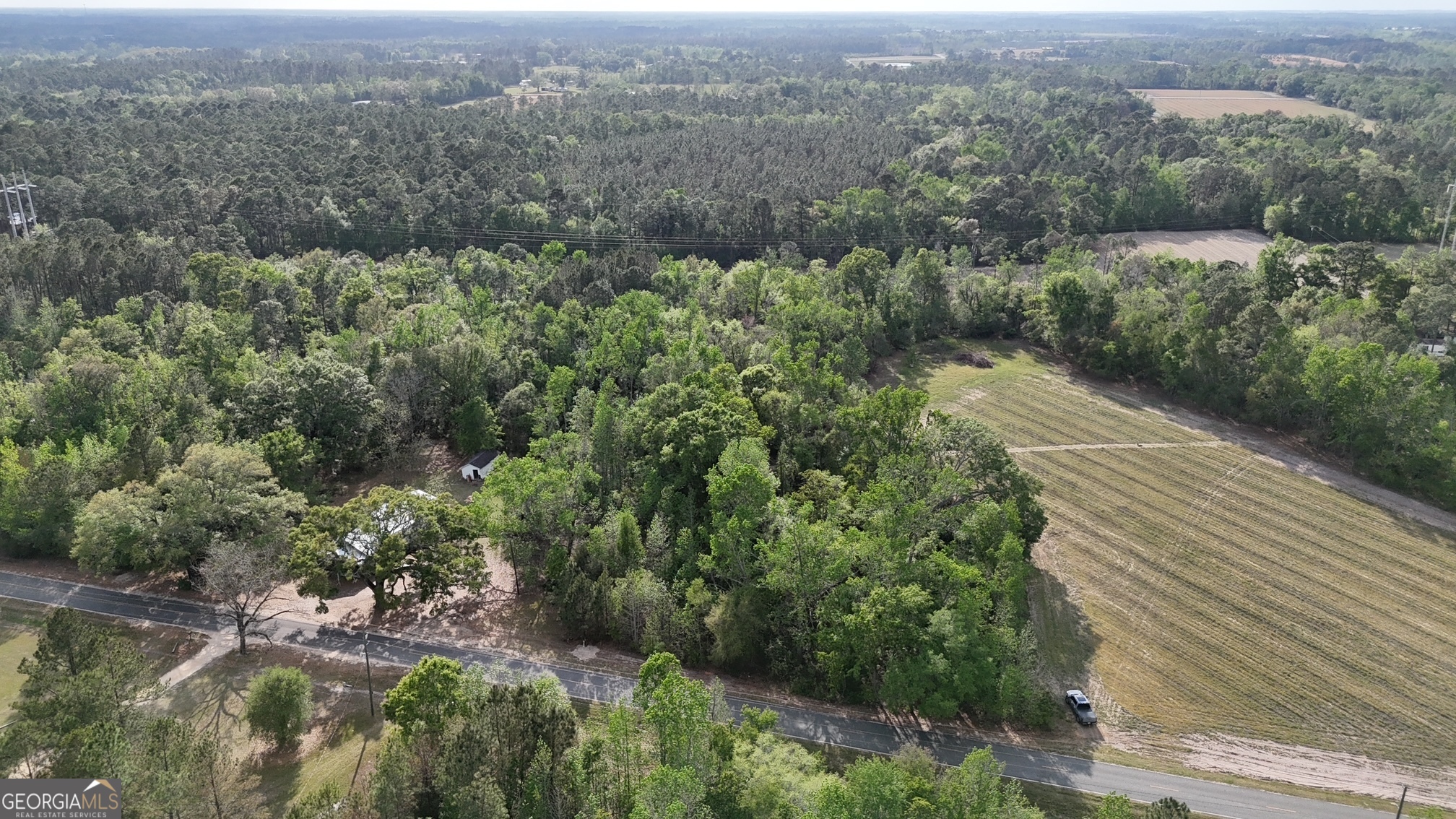 Tract 3 Spring Branch Road Baxley GA 31513
