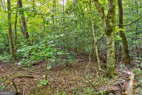 0 Wolf Pen Trail Ellijay GA 30540