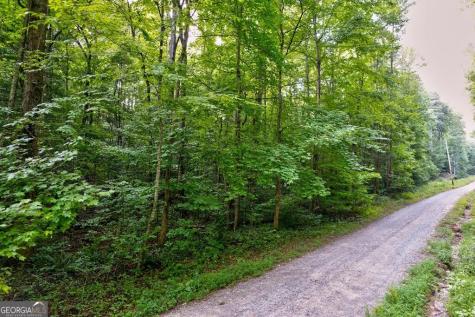 0 Wolf Pen Trail Ellijay GA 30540