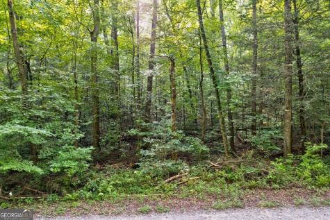 0 Wolf Pen Trail Ellijay GA 30540