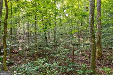 0 Wolf Pen Trail Ellijay GA 30540