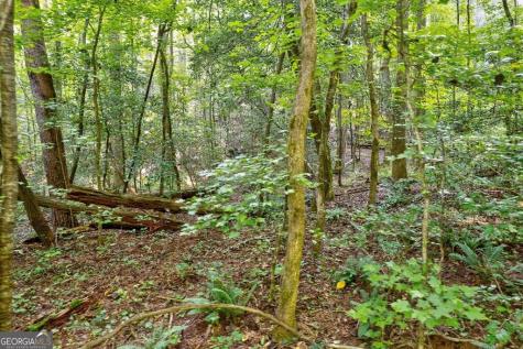 0 Wolf Pen Trail Ellijay GA 30540