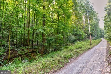 0 Wolf Pen Trail Ellijay GA 30540